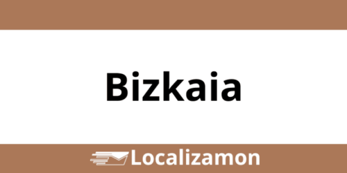 Teléfono Access Point UPS Bizkaia