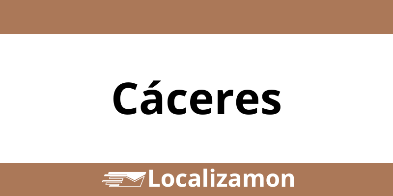 Teléfono Access Point UPS Cáceres