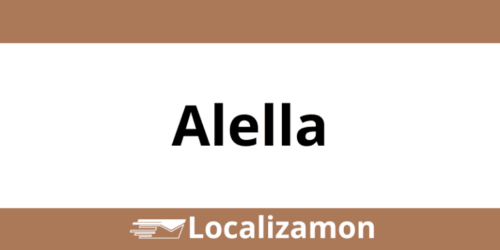 Teléfono Access Point UPS Alella