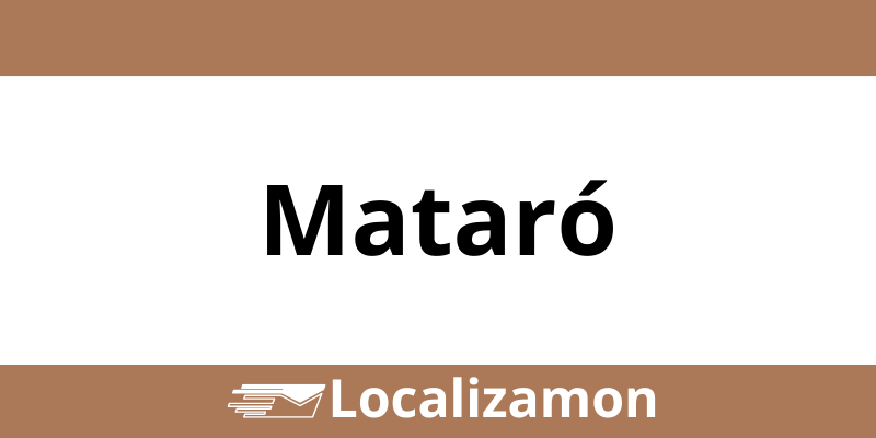 Teléfono Access Point UPS Mataró