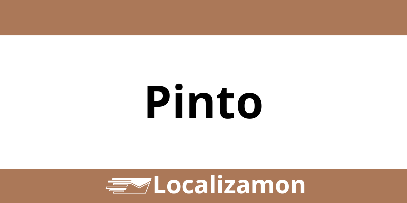 Teléfono Access Point UPS Pinto