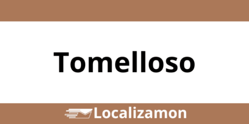 Teléfono Access Point UPS Tomelloso