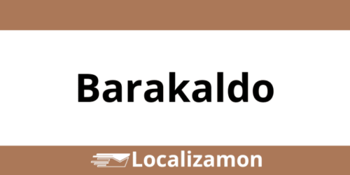 Teléfono Access Point UPS Barakaldo