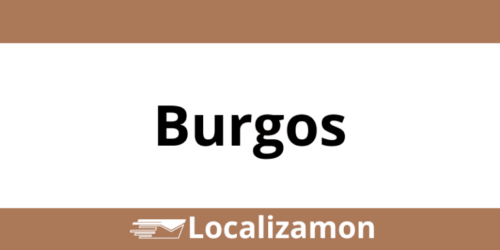 Teléfono Access Point UPS Burgos