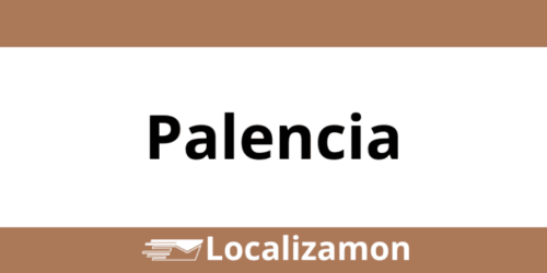 Teléfono Access Point UPS Palencia