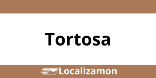Teléfono Access Point UPS Tortosa
