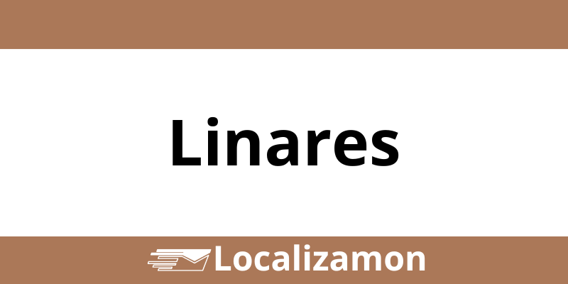 Teléfono Access Point UPS Linares