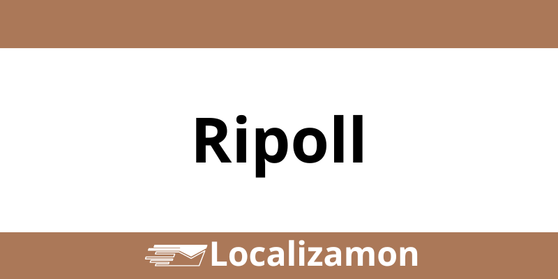 Teléfono Access Point UPS Ripoll