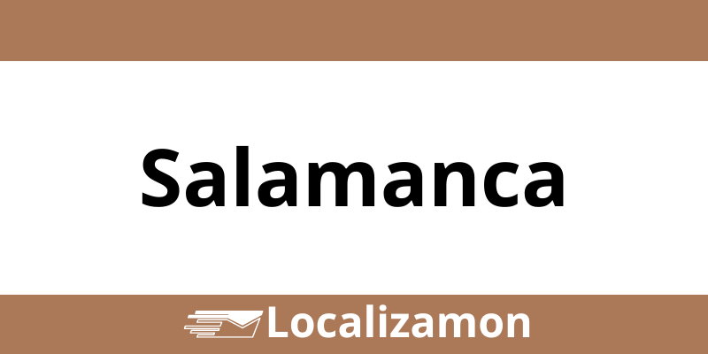 Teléfono Access Point UPS Salamanca