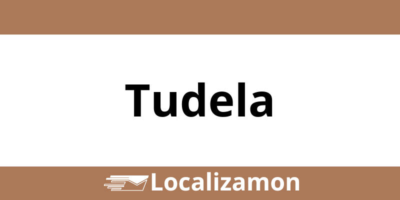 Teléfono Access Point UPS Tudela